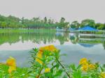 สวนสาธารณะ หนองพาน